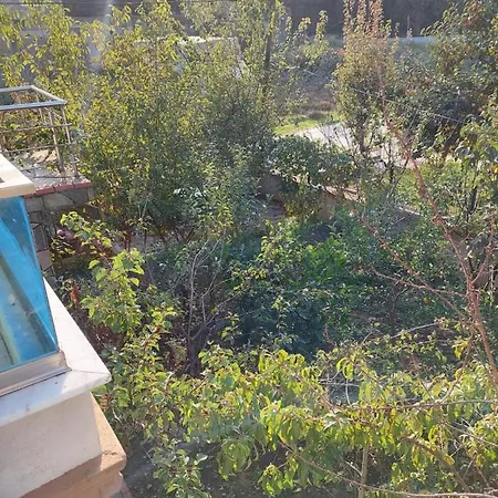 Apartment Yalova